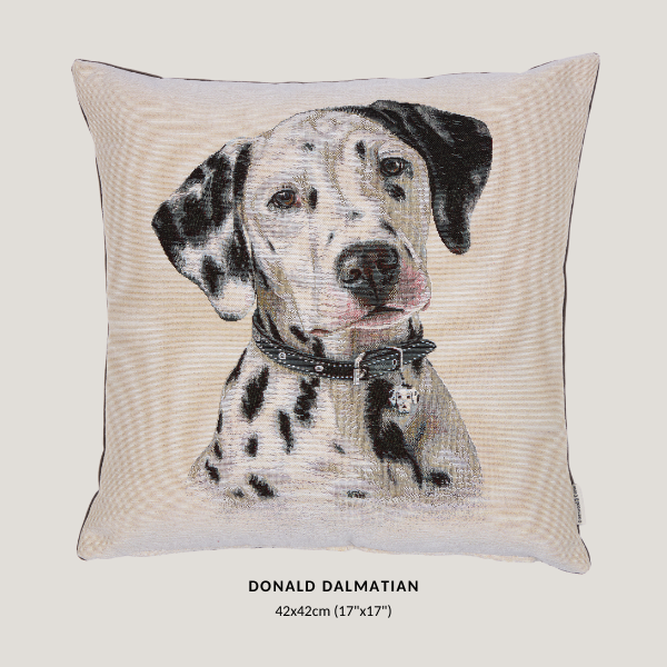 Woven Dog Cushions