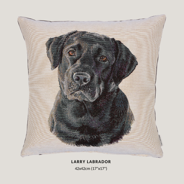 Woven Dog Cushions