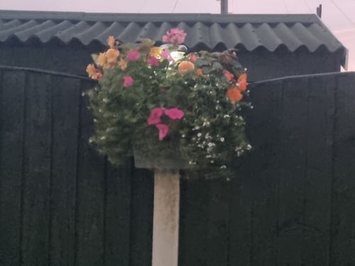 Illuminest, High top fence planter with solar lighting & bird box