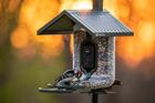 FeatherSnap Seed Feeder