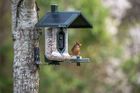 FeatherSnap Seed Feeder