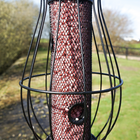 Berry Flavour Suet Pellets (3kg)