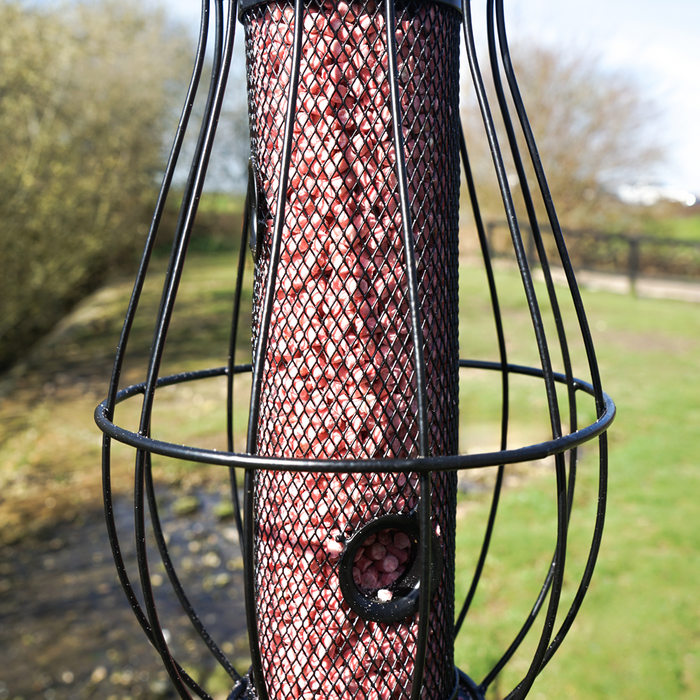 Berry Flavour Suet Pellets (3kg)