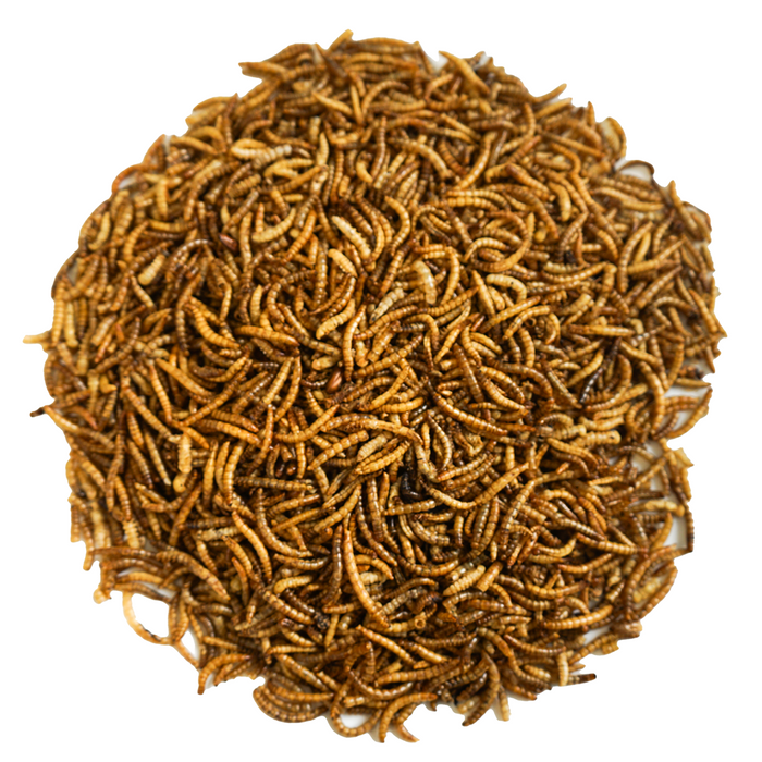 Mealworm (400g)