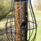 Mealworm (400g)