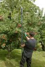 RSpear & Jackson Razorsharp® Ratchet Action Telescopic Tree Pruner