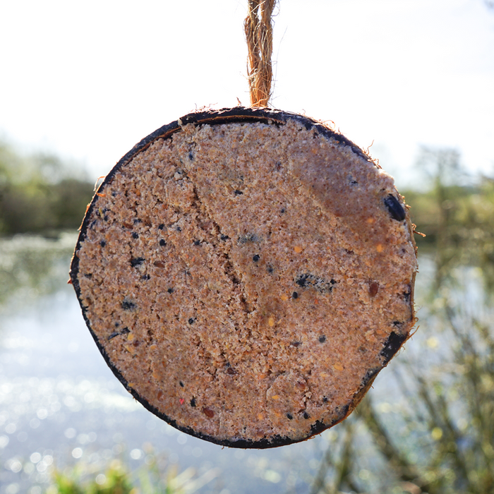 Suet Coconuts (10 Tub)
