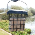 Mealworm Suet Blocks (10 Pack)
