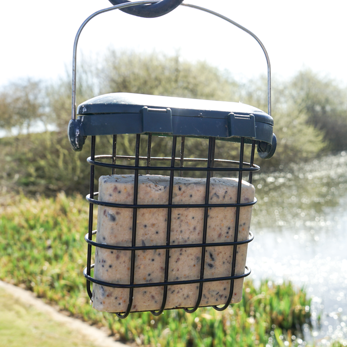 Mealworm Suet Blocks (10 Pack)
