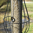 Peanut and Insect Suet Pellets (3kg)
