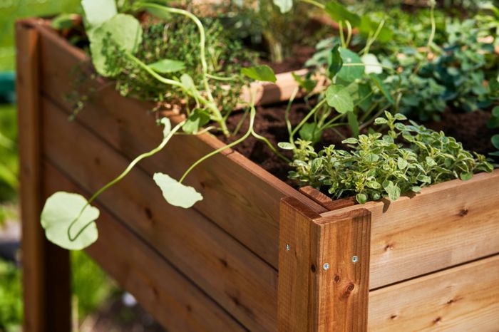 Four Section Raised Planter