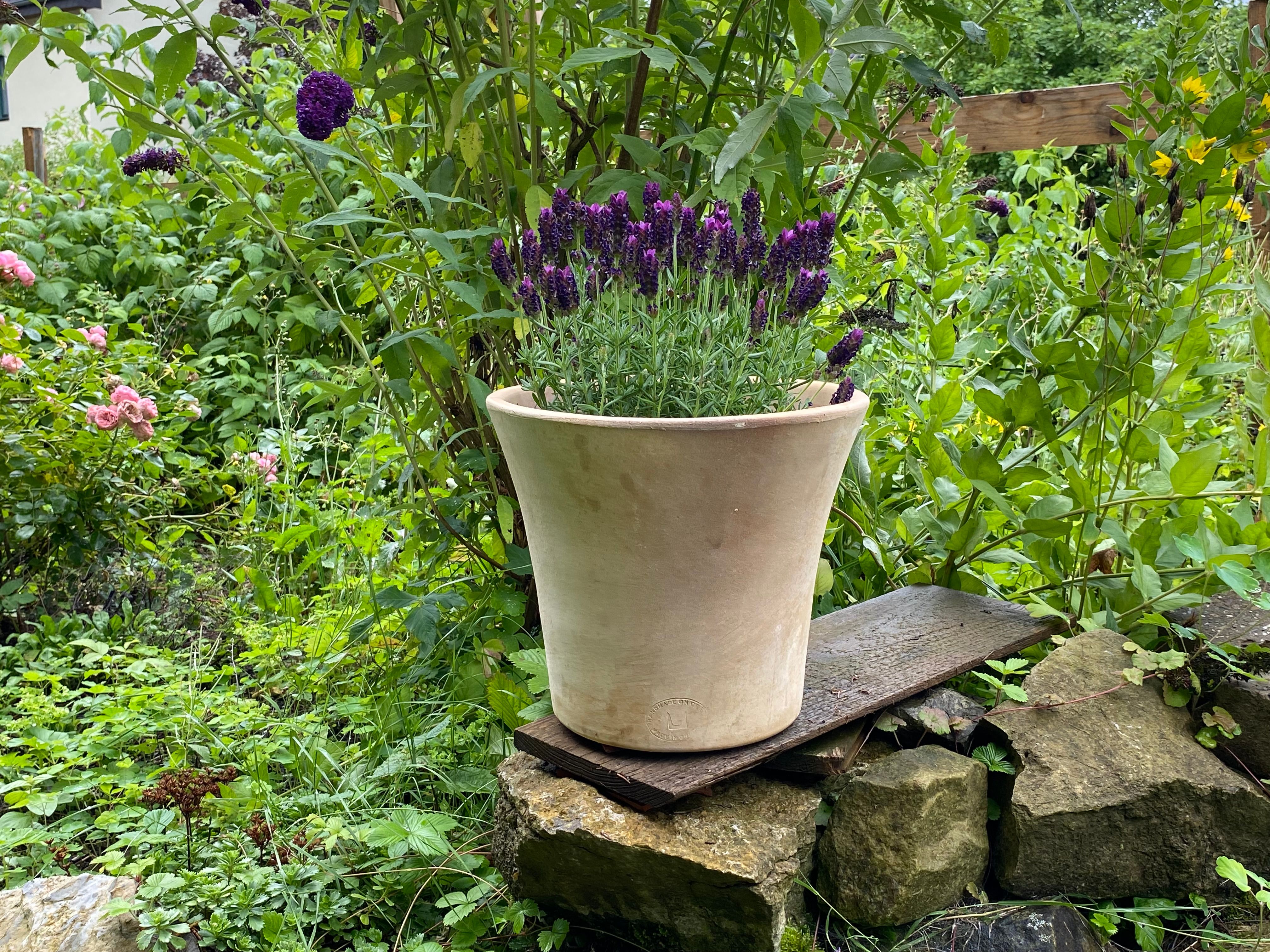 Planters