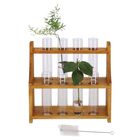Test Tube Stand