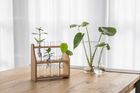 Test Tube Stand