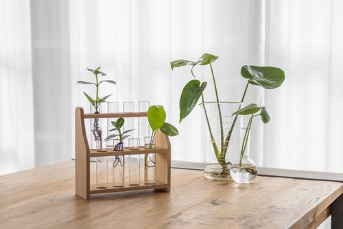 Test Tube Stand