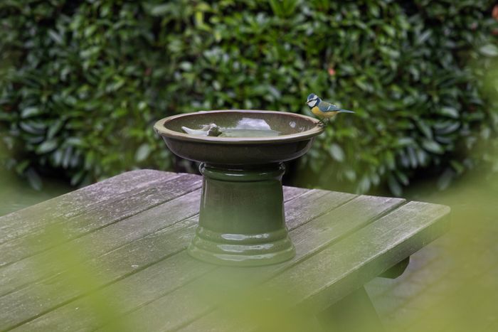Small Ceramic Birdbath on Pedestal