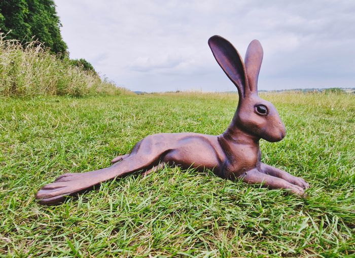 Inspirational Gifting Hare Range
