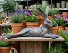 Inspirational Gifting Hare Range