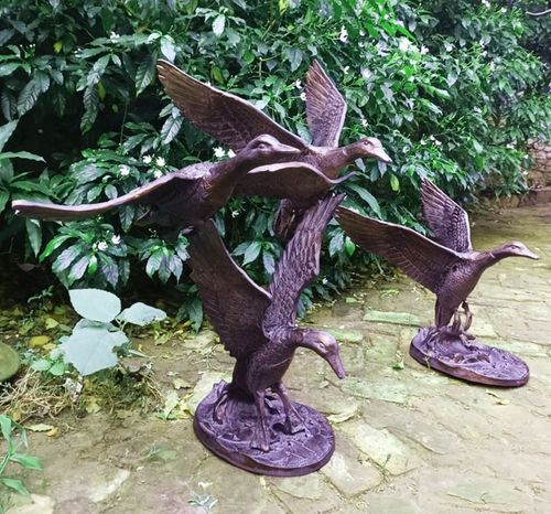 Inspirational Gifting Duck Range