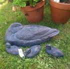 Inspirational Gifting Duck Range