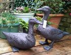 Inspirational Gifting Duck Range