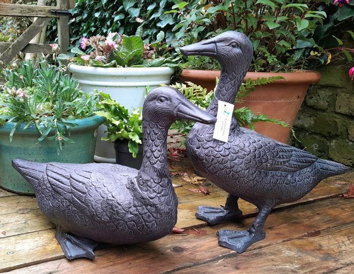 Inspirational Gifting Duck Range