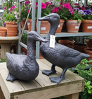 Inspirational Gifting Duck Range