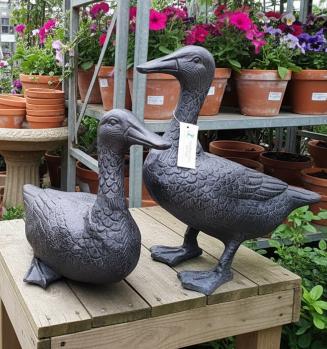 Inspirational Gifting Duck Range