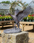 Inspirational Gifting Duck Range