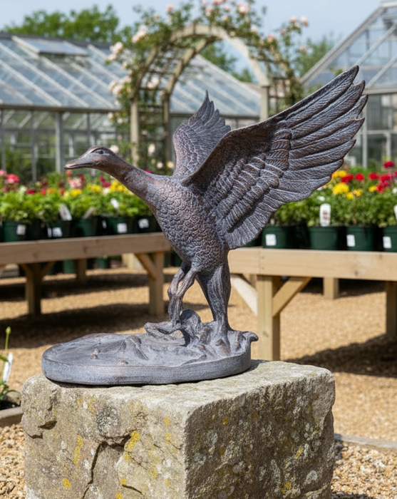 Inspirational Gifting Duck Range