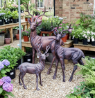 Inspirational Gifting Deer Range