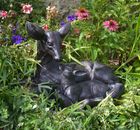 Inspirational Gifting Deer Range