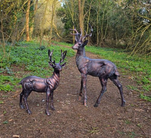 Inspirational Gifting Deer Range