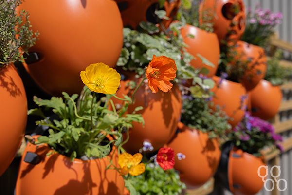 Planter Pod