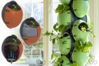 Planter Pod