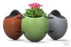 Planter Pod