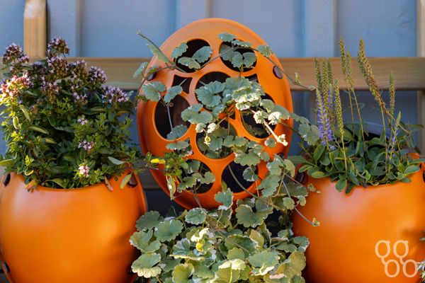 Trellis Pod