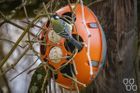 Trellis Pod