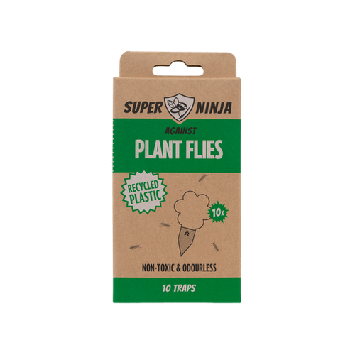 Fungus Gnats Traps