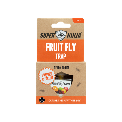 Fruit Fly Traps