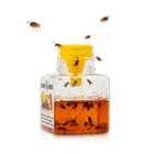 Fruit Fly Traps