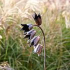 Recycled Metal Bluebell Garden Stake