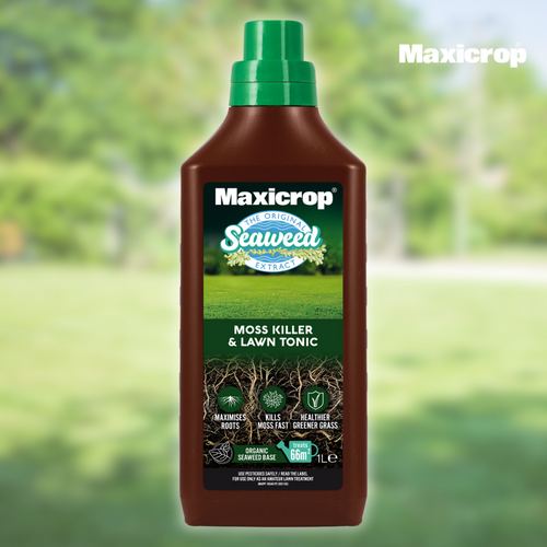 Maxicrop Mosskiller & Lawn Tonic