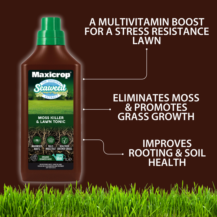 Maxicrop Mosskiller & Lawn Tonic