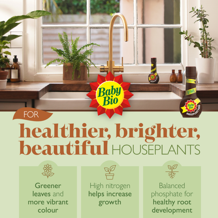 Baby Bio Houseplant Food