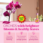 Baby Bio Orchid Food