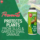 Protect Garden Slug and Snail Killer Max