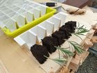 Bustaseed Tip Out Propagation Kit - Reusable & Durable 35 Cell Planting Tray