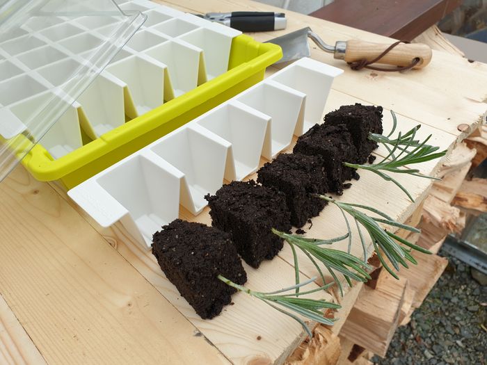 Bustaseed Tip Out Propagation Kit - Reusable & Durable 35 Cell Planting Tray