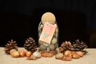 Seed ball gift jars